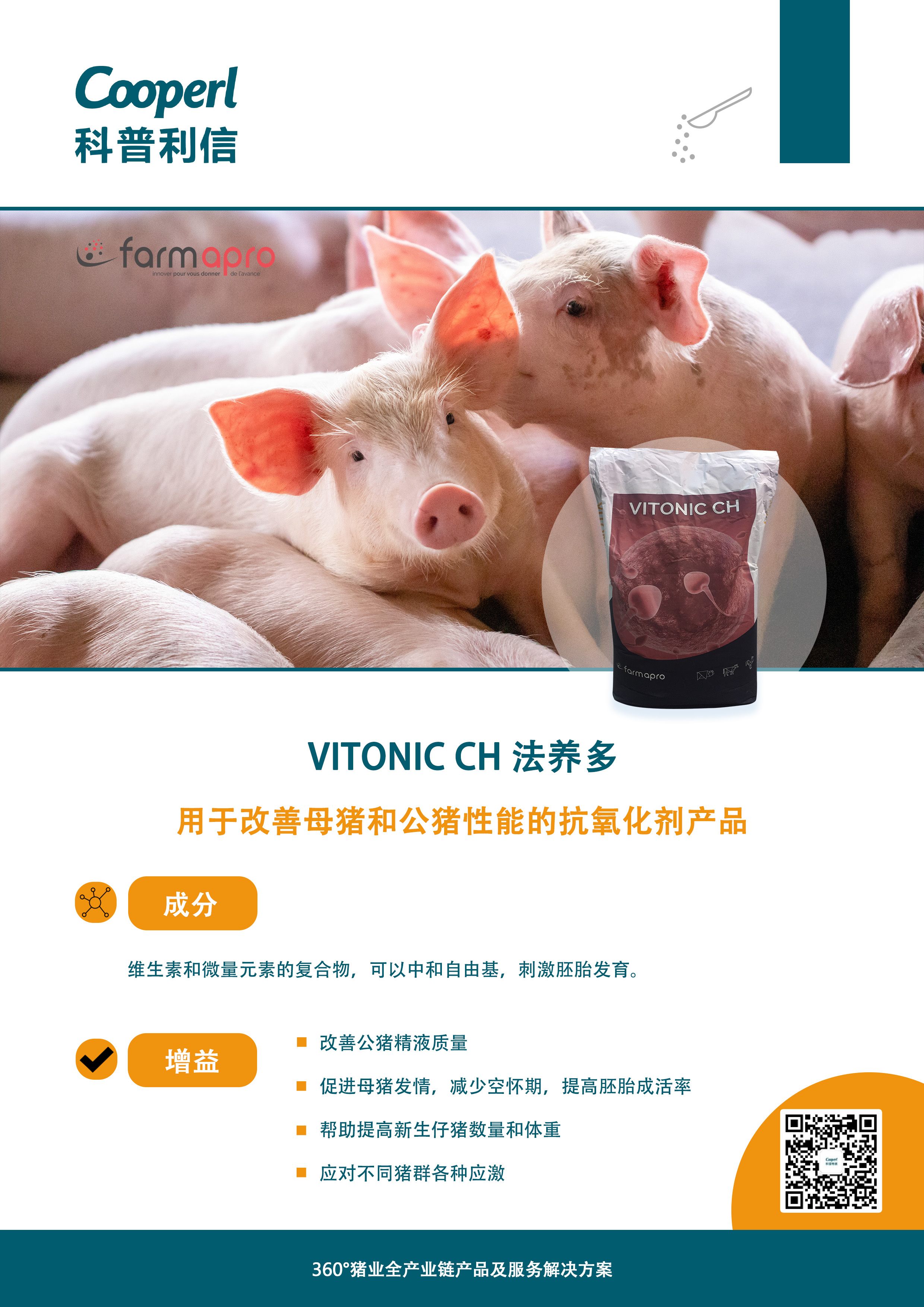 动保 VITONIC I