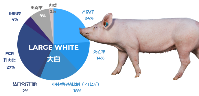base64_image base64_image
