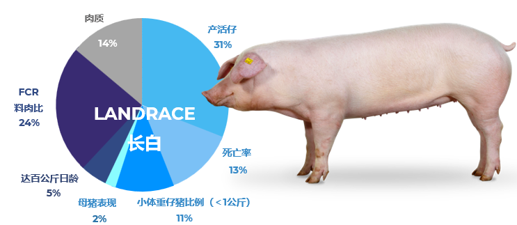 base64_image base64_image